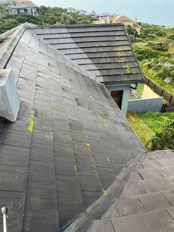 Roof halfway through a pressure wash, clean tiles beside mossy ones