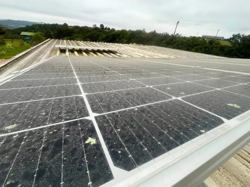 Solar panel clean in progress
