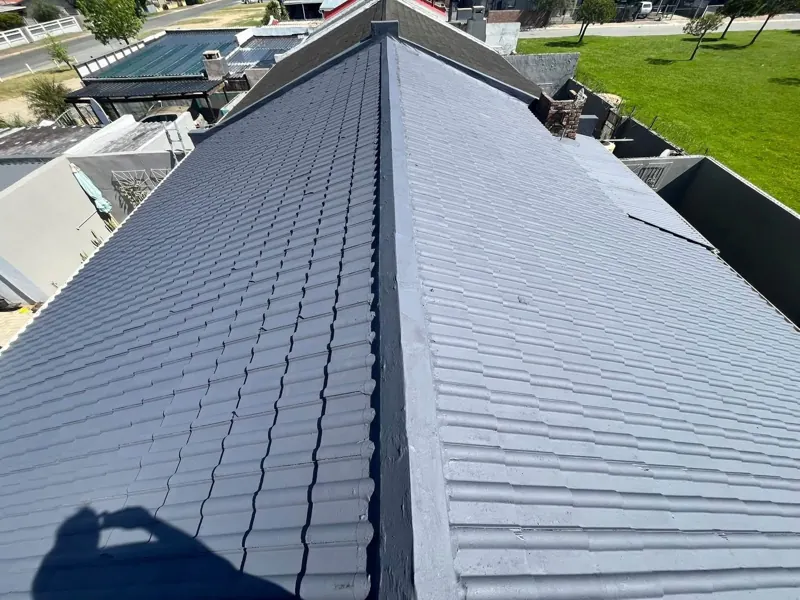 Freshly cleaned and painted grey tile roof by Apex Pressure